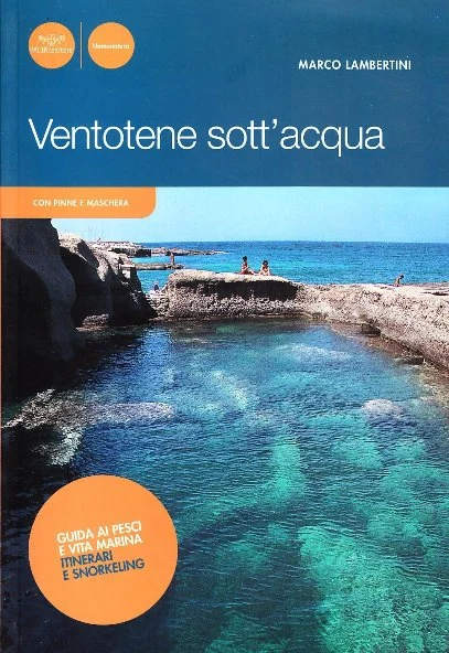 ventotene sott’acqua - Libri e DVD