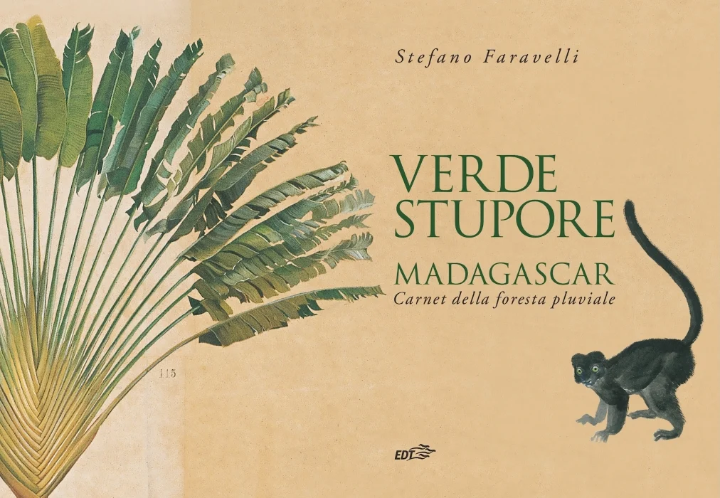 Verde stupore – Madagascar - Libri e DVD