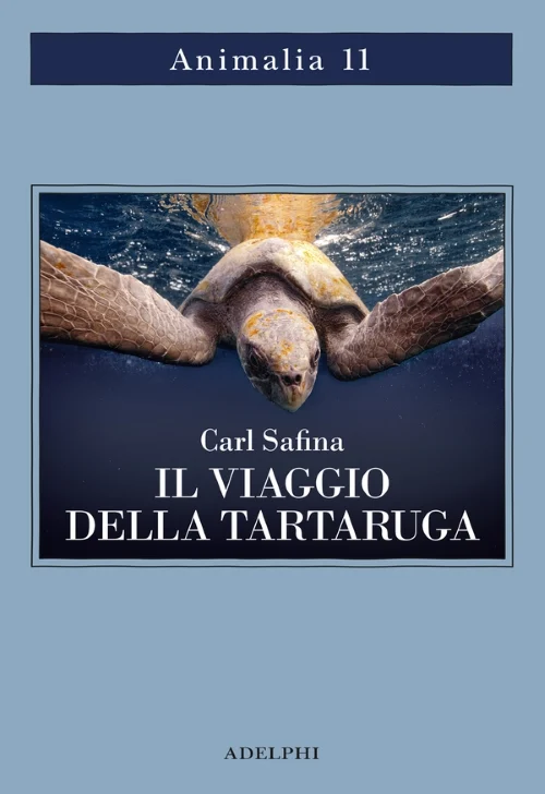 il viaggio della tartaruga - Libri e DVD