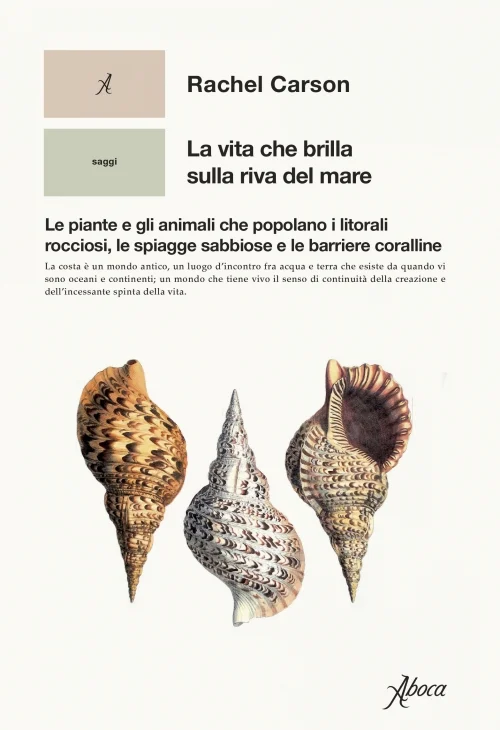 la vita che brilla sulla riva del mare - Libri e DVD