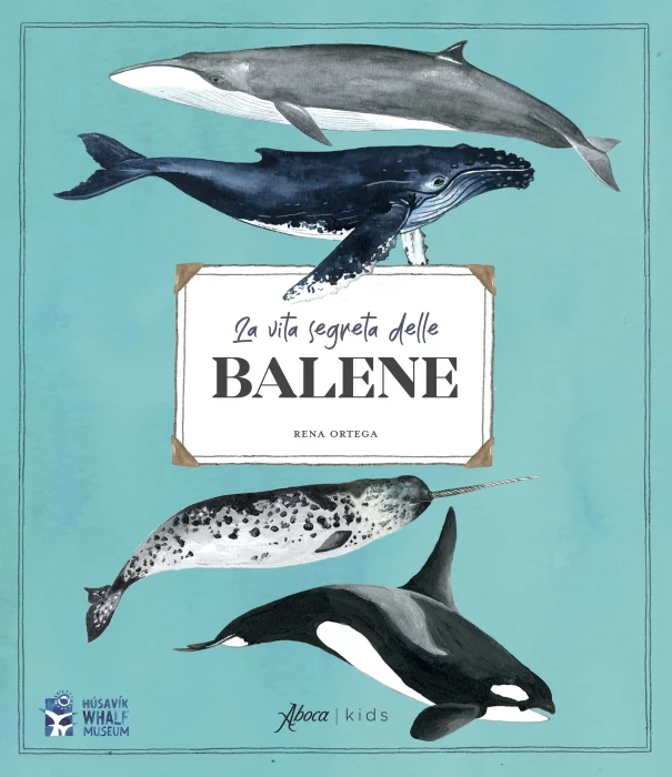 la vita segreta delle balene - Libri e DVD
