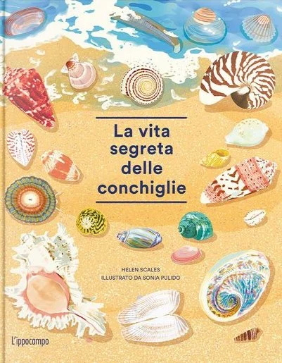 la vita segreta delle conchiglie - Libri e DVD