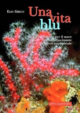 una vita blu - Libri e DVD