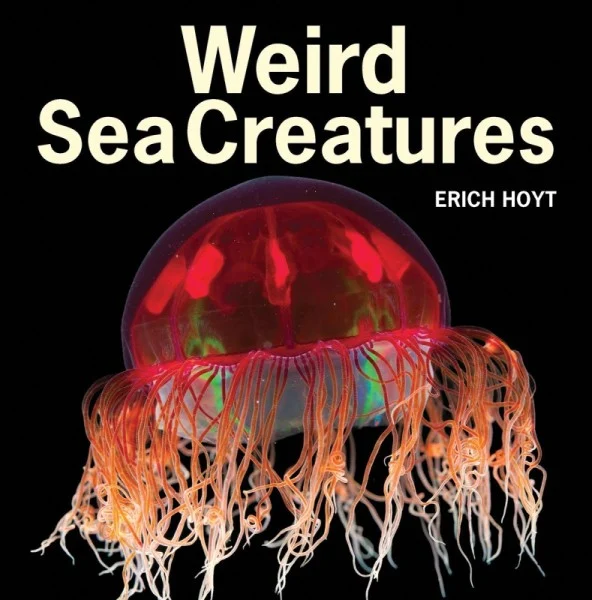 weird sea creatures - Libri e DVD