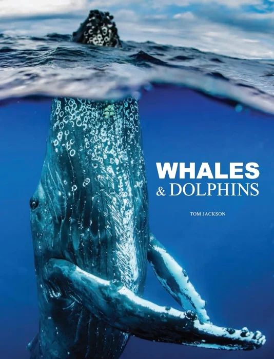 whales & dolphins - Libri e DVD