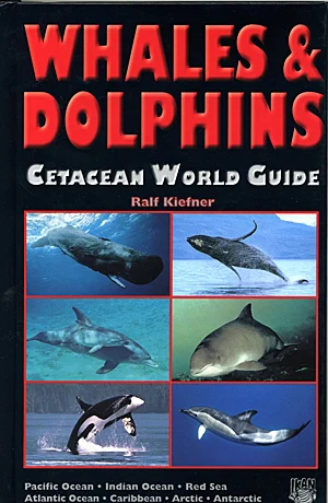 whales & dolphins – cetacean world guide - Libri e DVD