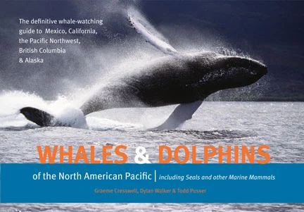 whales & dolphins of the north american pacific - Libri e DVD