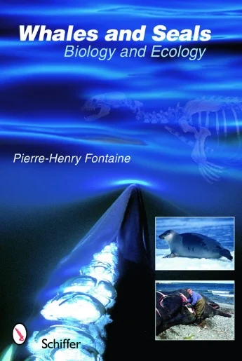 whales and seals - Libri e DVD