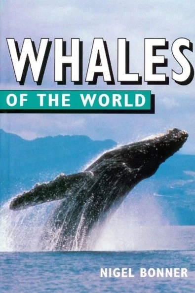 whales of the world - Libri e DVD