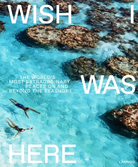 wish i was here - Libri e DVD
