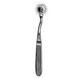 Sensometro. Ruota a punte, 19 cm - Cm Instrumente