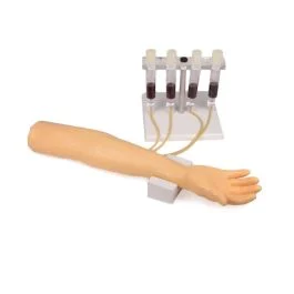 Braccio per addestramento all'iniezione intravenosa e perfusione - Erler Zimmer