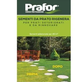 Hortus Prato Rigenera Prafor 1 kg - Giardino e terrazzo